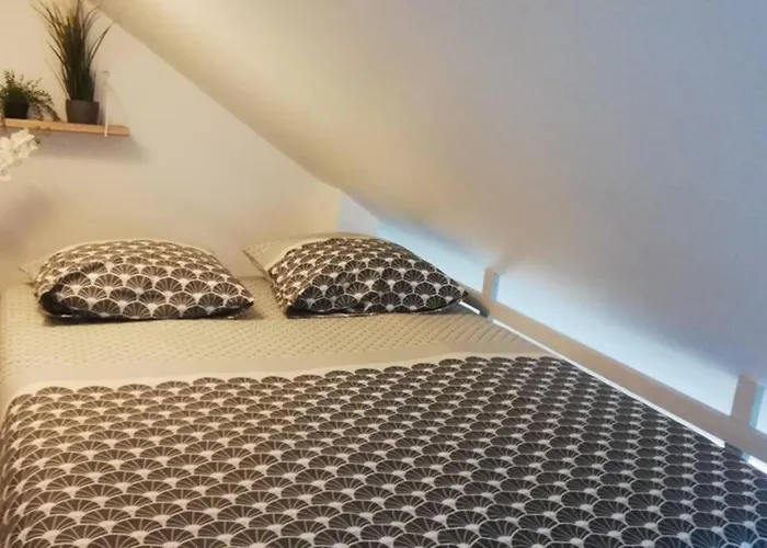 Cocooning Au Pied De La Cathedrale באיו